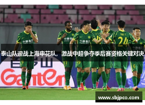 泰山队迎战上海申花队，激战中超争夺季后赛资格关键对决