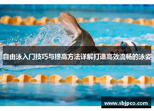 自由泳入门技巧与提高方法详解打造高效流畅的泳姿