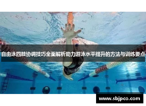 自由泳四肢协调技巧全面解析助力游泳水平提升的方法与训练要点