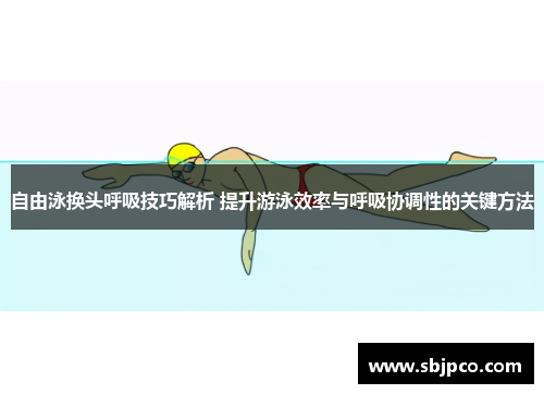 自由泳换头呼吸技巧解析 提升游泳效率与呼吸协调性的关键方法