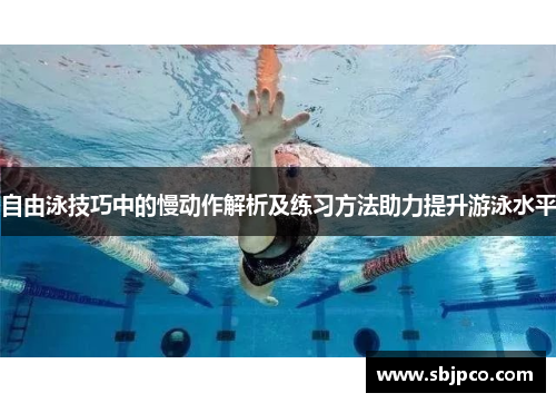 自由泳技巧中的慢动作解析及练习方法助力提升游泳水平