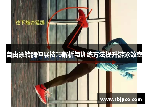 自由泳转髋伸展技巧解析与训练方法提升游泳效率