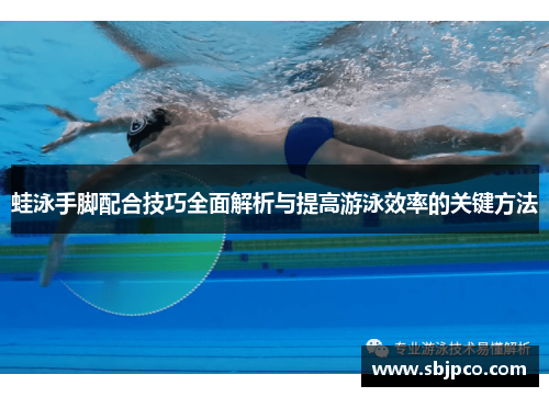 蛙泳手脚配合技巧全面解析与提高游泳效率的关键方法