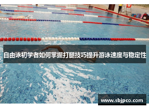 自由泳初学者如何掌握打腿技巧提升游泳速度与稳定性